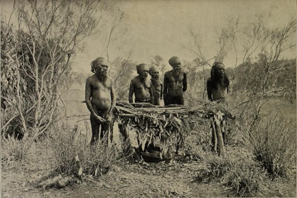 Archival photograph of five Arrernte men around a low leafy branch platform in scrubland, with long flat churinga laid across its top.