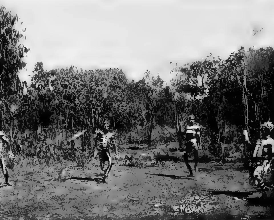 Archival photograph of decorated Larrakia men in open woodland during a bullroarer demonstration.