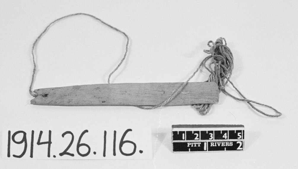 A small wooden Ejagham bullroarer with its cord gathered beside it, photographed with its museum label and a scale.