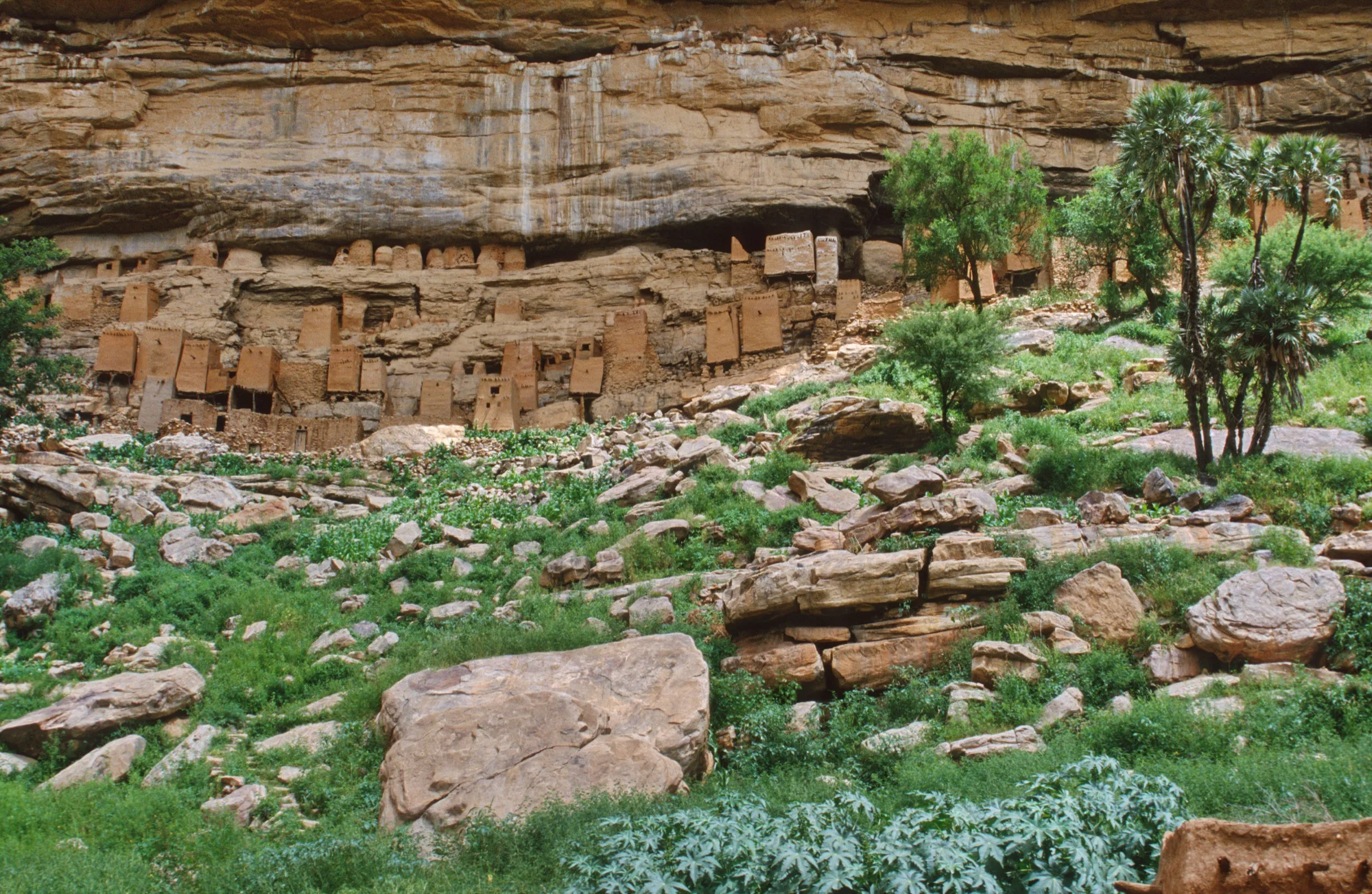 A towering ochre sandstone cliff with a deep overhang; rows of small mud-brick buildings sit tucked into its ledges above a slope of boulders and green scrub.