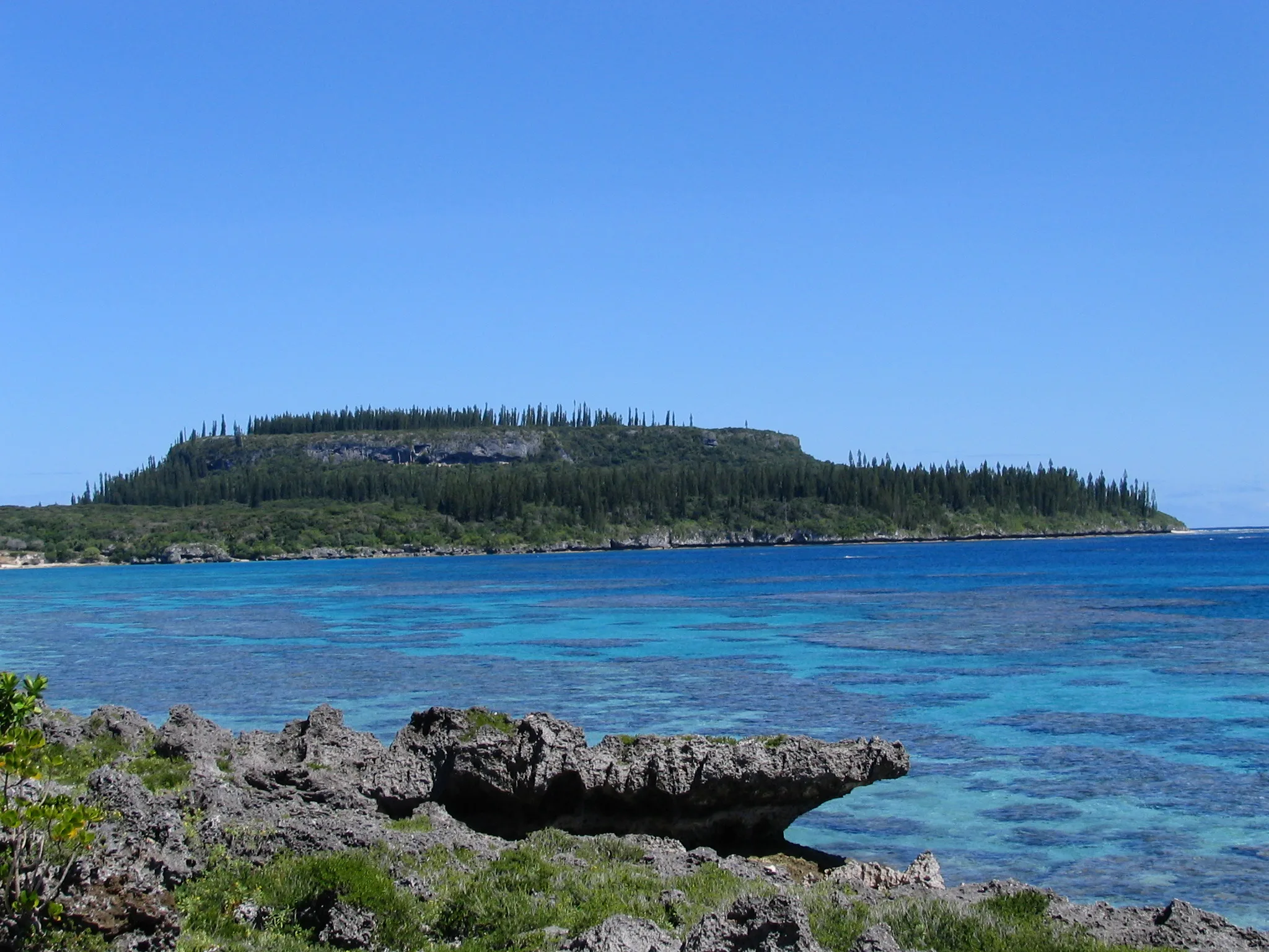 A flat-topped, cliff-faced headland of uplifted coral crowned with columnar pines, seen across a turquoise reef lagoon.