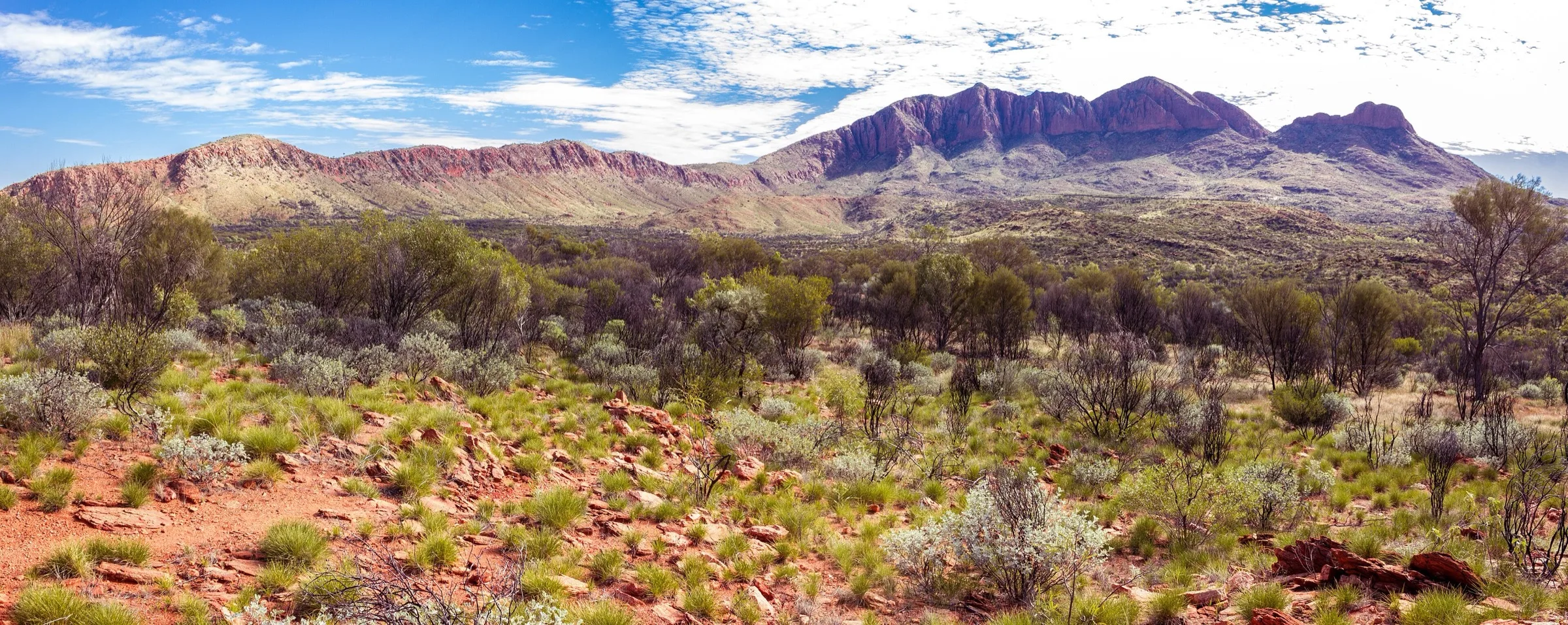 A long red and purple range rising to the many-peaked Mount Sonder above spinifex and mulga under a blue sky.