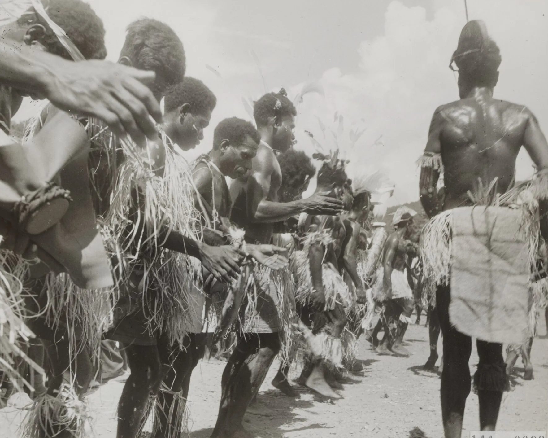 A line of Nimboran dancers in grass skirts and feather headdresses performing the cassowary dance.