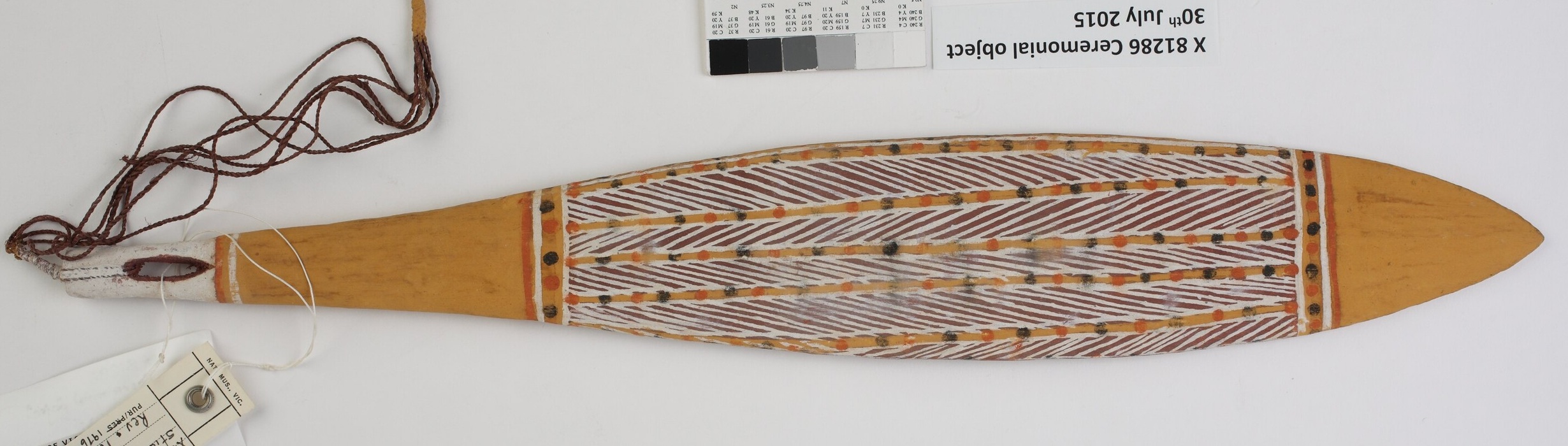 Painted Gupapuyngu Daygurrgurr burala from Howard Island: a long ochre blade with a pointed end, white diagonal bands and dotted borders, with cord attached at the pierced end.