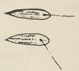 Two drawings of Wabo’s short blade, one hanging level and one slanted against its cord.