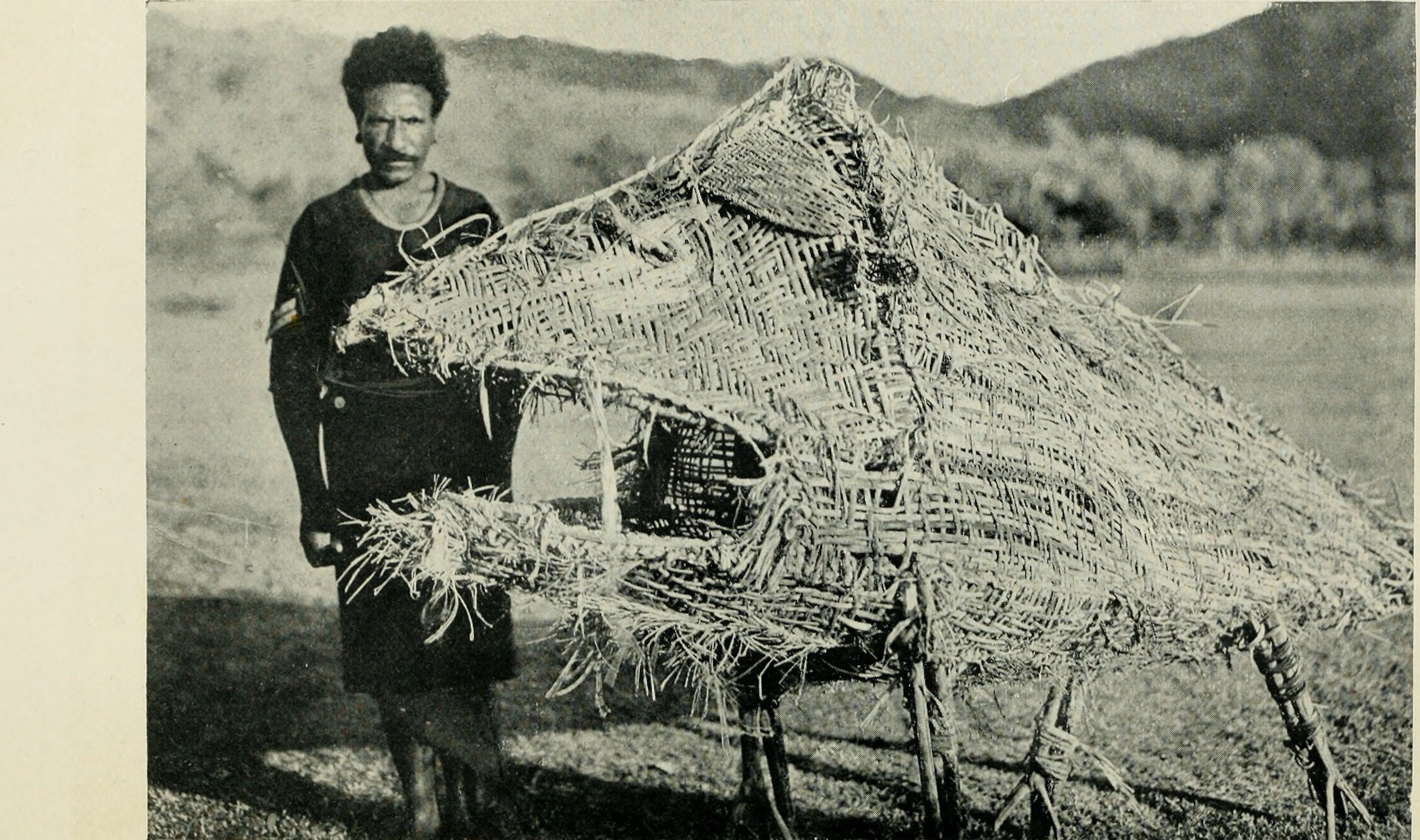 A towering basketry kaiaimunu swallowing monster standing in Papua.