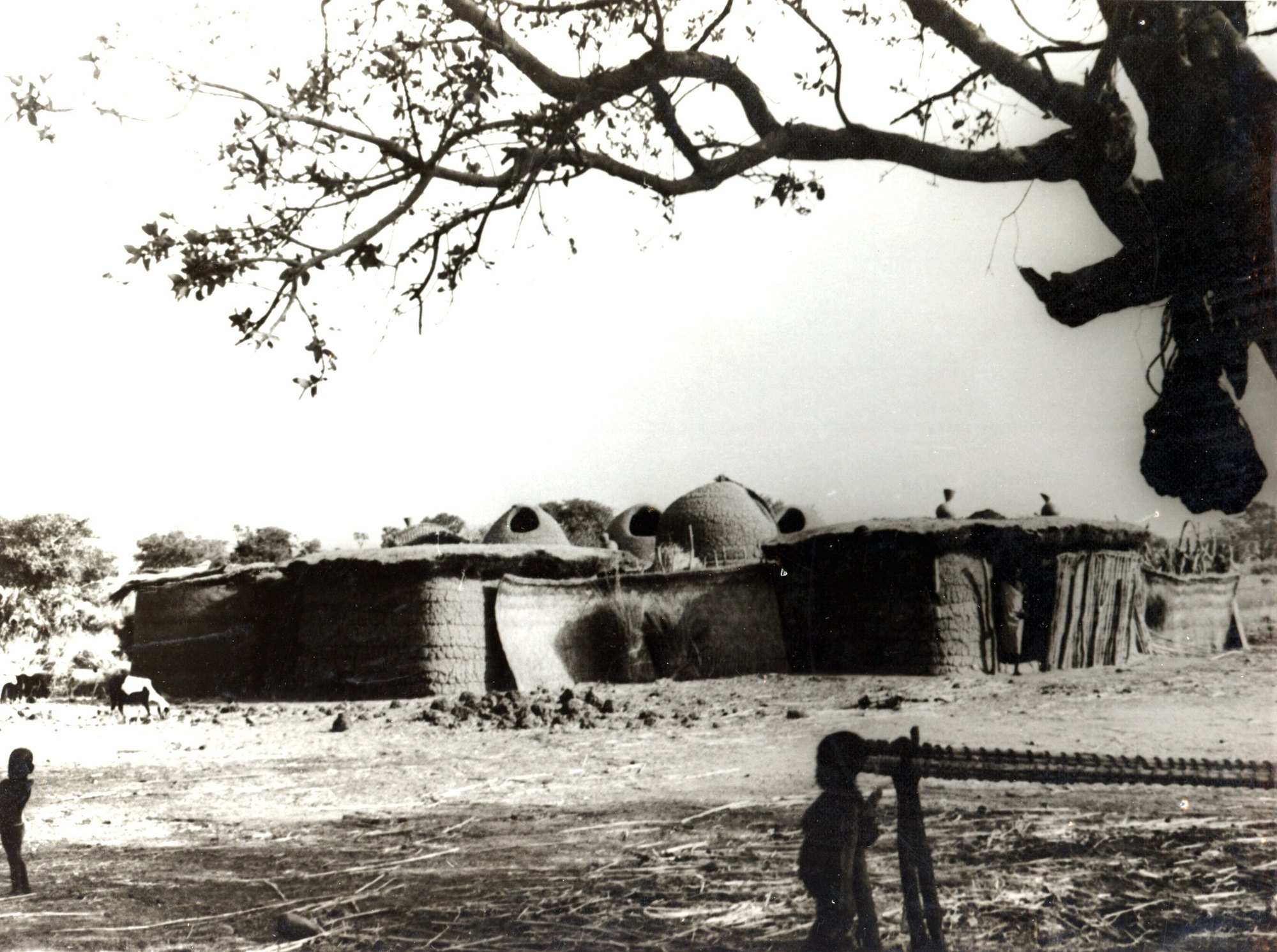 Black-and-white photograph of a walled Mundang compound with domed granaries, seen beneath the branches of a large tree; a child stands in the foreground.