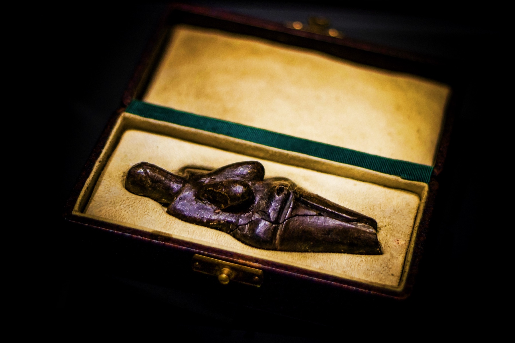 The dark fired-clay Venus of Dolní Věstonice standing in a museum display.