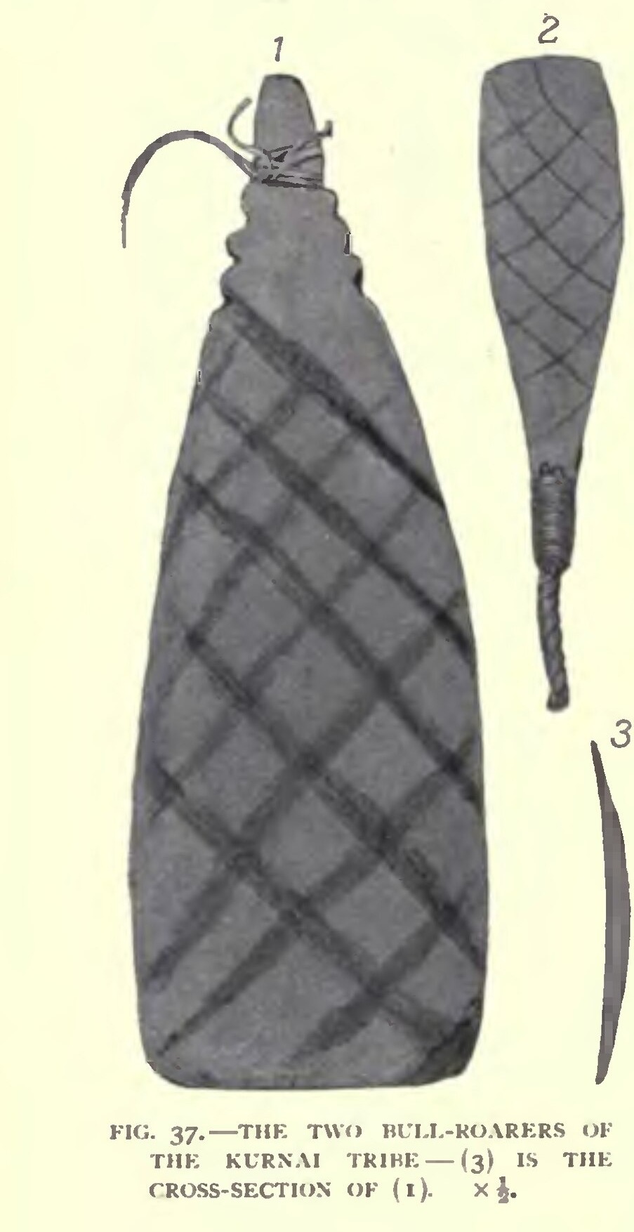 Line drawings of the Kurnai bullroarers Tundun and Rukut-Tundun: a broad crosshatched blade, a narrower crosshatched blade, and a separate cross-section of the first.
