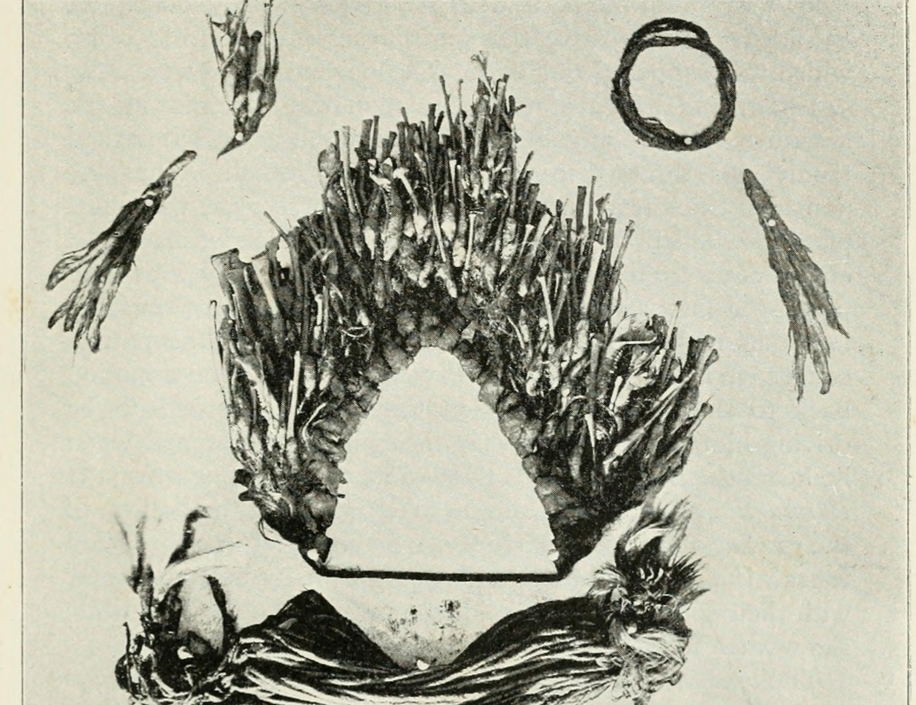 Detail plate of the Chimurilia mourning headdress, fur string bands and feathers worn by an Arrernte widow