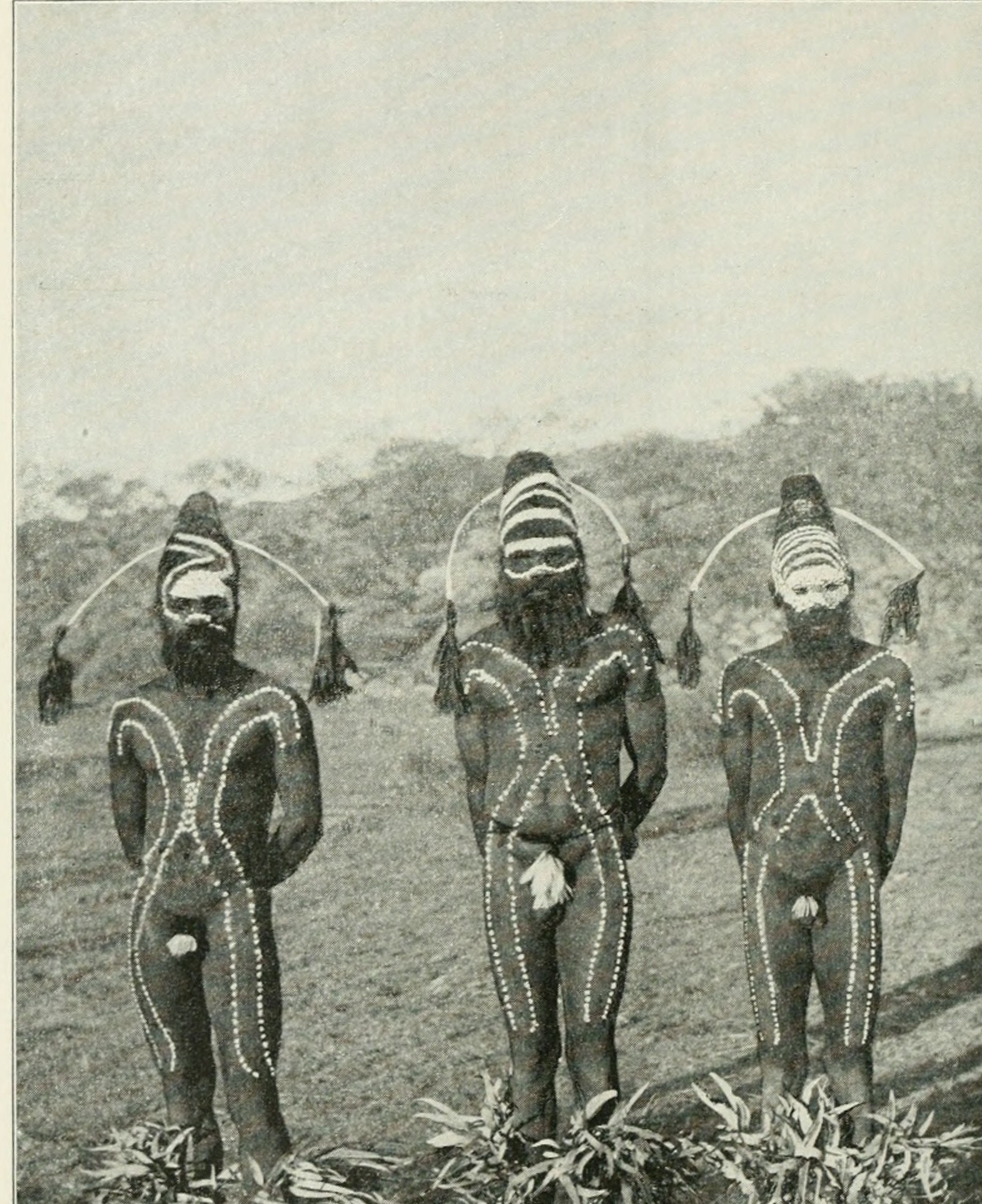 Three Arunta men decorated with elaborate white dot-and-line body paint and tall conical hair-string headdresses for the Erkita Corrobboree