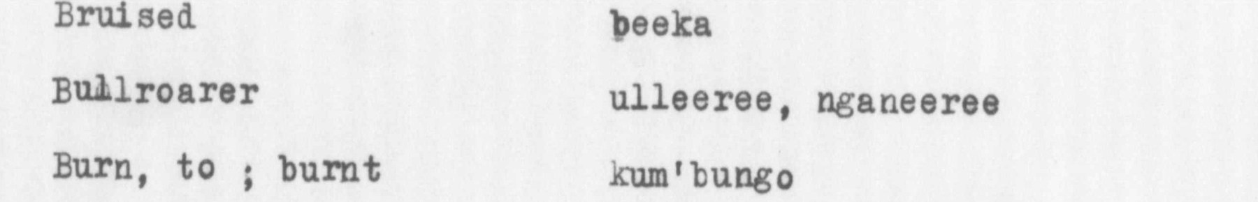 Three typed vocabulary rows: Bruised, beeka; Bullroarer, ulleeree, nganeeree; Burn, to; burnt, kum'bungo.
