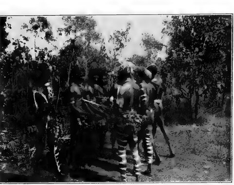 The bullroarer is shown to the Larrakia initiates.