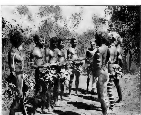 The bullroarer is placed across the Larrakia initiates' hands.