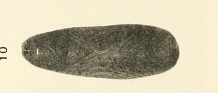 Representative—not this record’s object: Gascoyne bullroarer, shown as a regional stand-in; no image of this record’s own object is available...
