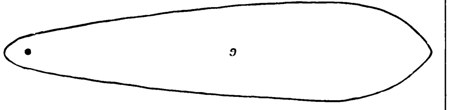 Fig. 9 from Mathews' 1898 plate of New South Wales bull-roarers — a slender, pointed blade with a perforation near one end — matching the...
