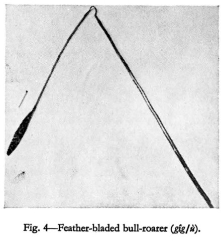 G/wi feather-bladed gig/u, Nurse 1972, fig. 4.