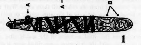 A pulpiŋba as Berndt drew it in 1941, its blade marked like an iguana’s back.