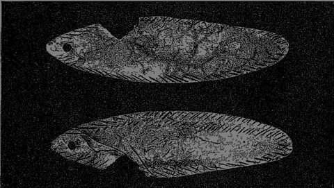 The Lespugue bone blade, both faces, as Saint-Périer published it in 1928.