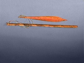 Haida blade, cord and handle, CMC VII-B-226.