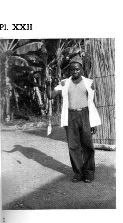 Representative—not this record’s object: Bembe rhombe, Mouyondzi (Söderberg), shown as a regional stand-in; no image of this record’s own...