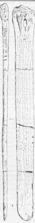 Line drawing of a long narrow bone blade shown twice, edge-on and face-on; the face is covered in fine lengthwise rows of dots, and an oval hole pierces the top end.