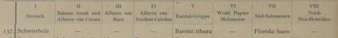 Row 137 of Friederici's table: Barriai tibura and Florida buro, the two words he compared.