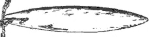 A wooden Bozo roarer from Siranikorro, 34 cm, drawn for Frobenius in 1913.