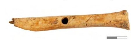 Half-drilled sheep-or-goat metatarsal from Schellinkhout, proposed as a snorrebot.