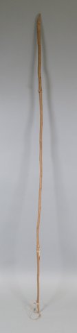 The whip-mount branch of an Aua Island Schwirrholz, collected by F. E. Hellwig before 1906: a slender, gently curved length of wood over a...