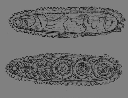 Breuil's 1902 drawings of both faces of the Saint-Marcel bone pendant, shown at natural size.