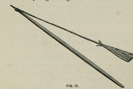 Per-bo-re-gan whirler at Coranderrk, Kulin country — fish-shaped bark blade on a kangaroo-sinew cord and stick, figured by Smyth (1878). The...