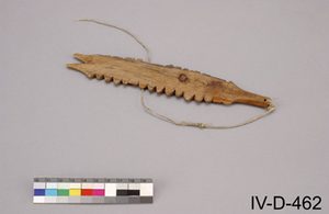 The imilguptak Jenness collected — serrated bone on its sinew cord.