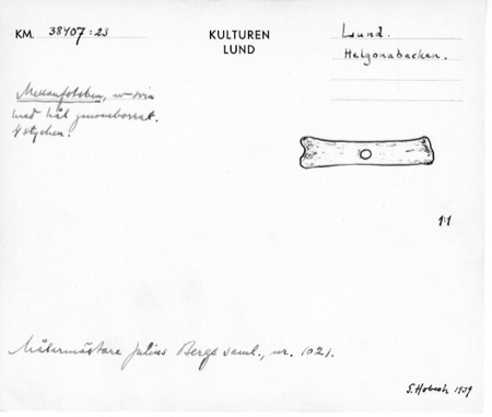 Kulturen’s 1939 catalog card for KM 38407:23, the pierced pig metatarsal drawn at full scale — four such bones came from Helgonabacken.