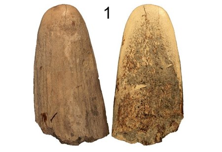 Le Placard Cave antler ovaloid LP76, obverse and reverse faces.