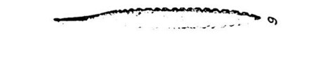 Mathiassen’s exact Plate 84 fig. 9 drawing of miniature P12.171.
