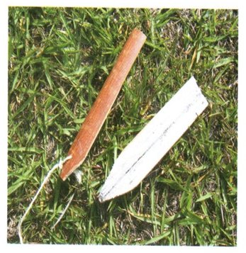 Two wooden bullroarer blades lying on grass, one red-brown with a cord, one pale.