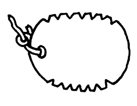 Drawing of the serrated Saline Valley Shoshoni wumuitui: a broad oval blade with jagged edges and a looped cord at its narrow end.