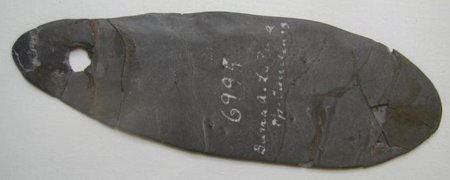 A dark grey slate blade shaped like an elongated leaf, lying horizontally, with a small round hole near its narrow left end, several mended cracks, and a museum number written in white ink.