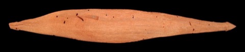 Its companion child's rhombe from the same Urubamba accession, the cord now lost (71.1980.61.50).