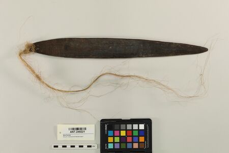 The Grass Country specimen itself: a long carved wooden blade with its fibre cord still tied through the hole at the left end.