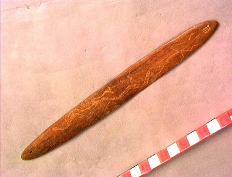 Clement’s Desert-tribe cora, Wereldmuseum RV-1207-18.