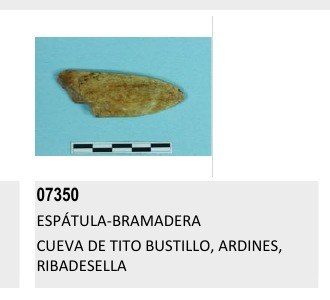 Museum accession 07350, labelled espátula-bramadera: a worked rib tapering to a point, no perforation visible.