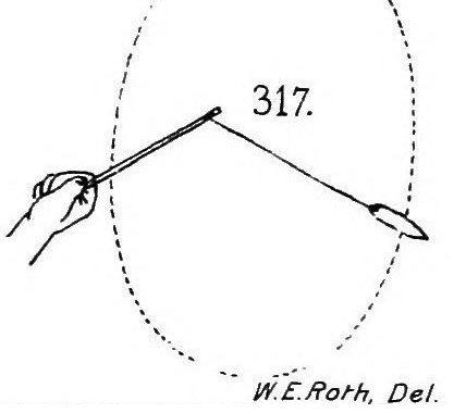 Roth's 1897 drawing of a Queensland whirler swung from a small stick.
