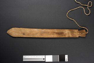One of Lumholtz's seven Papagueria whirl-sticks.