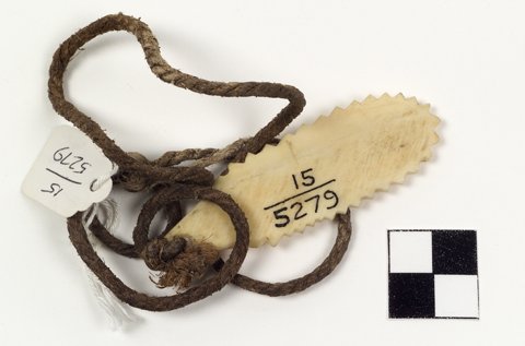 Serrated bone bullroarer with sinew cord, Kinngait.