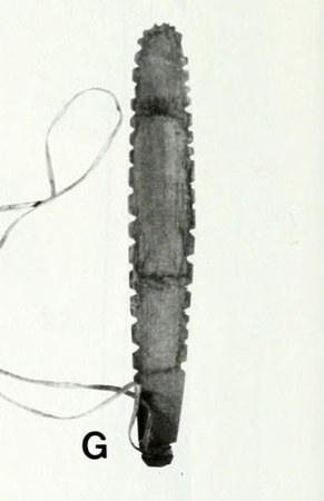 The Davis Inlet Naskapi bullroarer itself, from VanStone's 1985 monograph: a serrated bone or antler blade with a hide thong looped through a...