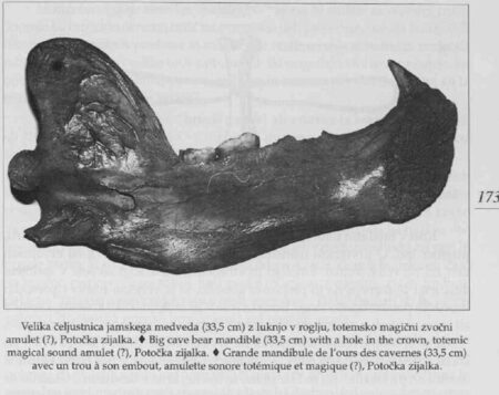Omerzel-Terlep p. 173: exact 33.5 cm Potočka cave-bear mandible, captioned as perforated and tentatively a totemic-magical sound amulet.