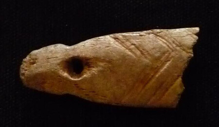 Palart.425: perforated, chevron-marked bone fragment.