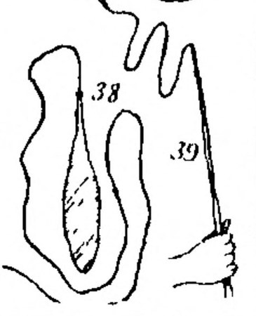 R. H. Mathews' 1896 drawings from a Burbung ground on Bulgeraga Creek, among the Euahlayi's neighbours on the Macquarie-Barwon side — the same...